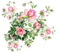 розовые светлые  
