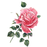 pic (18) (150x150, 24Kb)